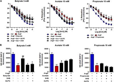 Protective Effects of Short-Chain Fatty Acids on Endothelial Dysfunction Induced by Angiotensin II